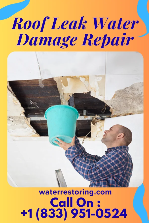 Roof Leak Water Damage Repair in Onaway, MI